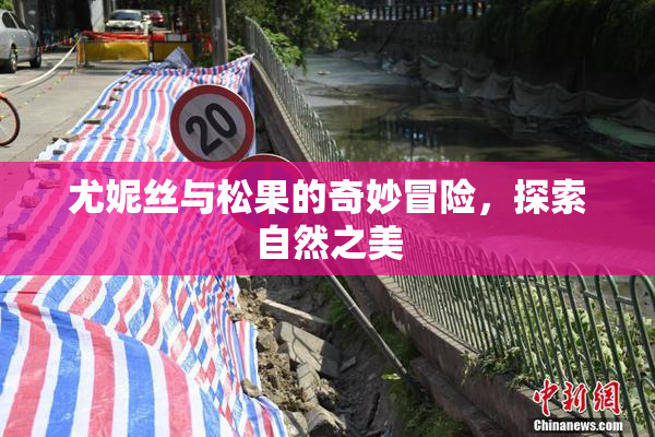 尤妮丝与松果的奇妙冒险，探索自然之美