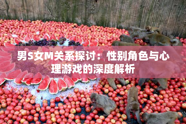 男S女M关系探讨：性别角色与心理游戏的深度解析