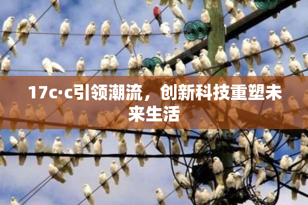 17c·c引领潮流，创新科技重塑未来生活