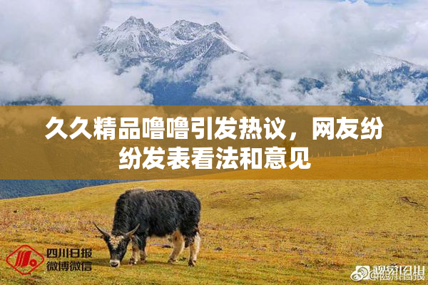 久久精品噜噜引发热议，网友纷纷发表看法和意见