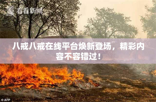 八戒八戒在线平台焕新登场，精彩内容不容错过！