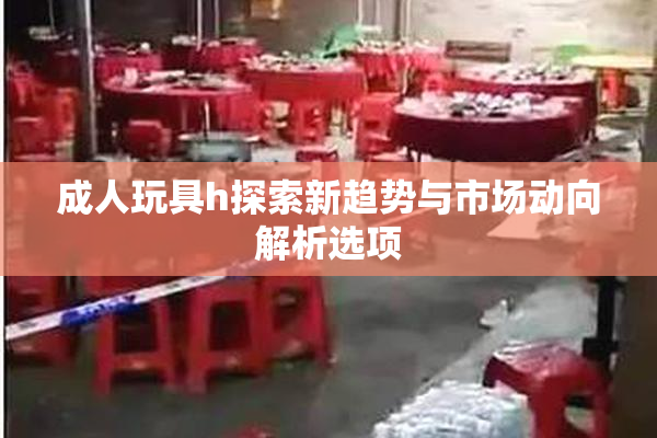 成人玩具h探索新趋势与市场动向解析选项