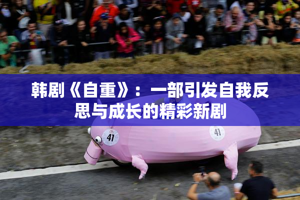 韩剧《自重》：一部引发自我反思与成长的精彩新剧