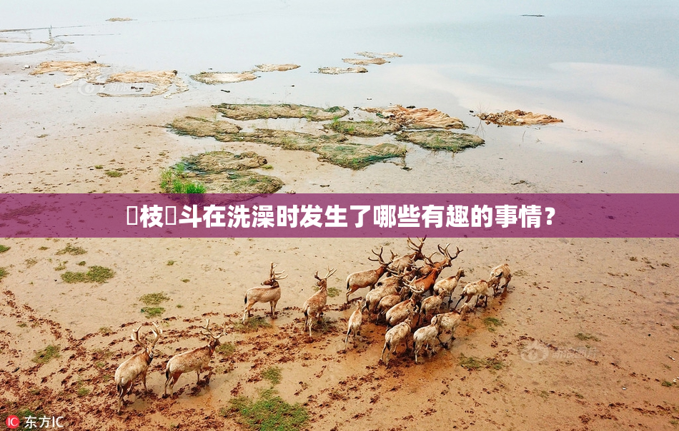 狛枝凪斗在洗澡时发生了哪些有趣的事情？