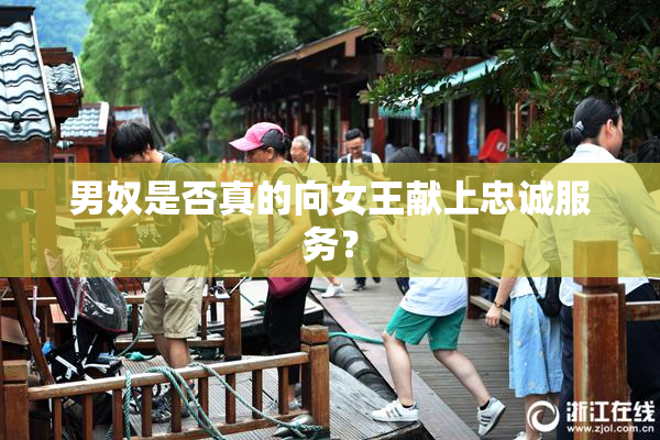 男奴是否真的向女王献上忠诚服务？