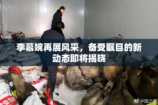 李慕婉再展风采，备受瞩目的新动态即将揭晓