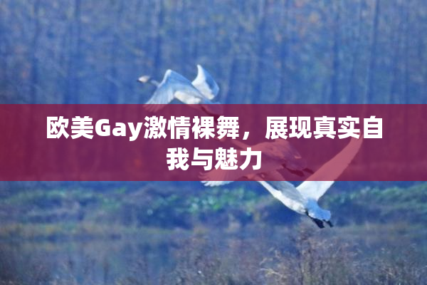 欧美Gay激情裸舞，展现真实自我与魅力