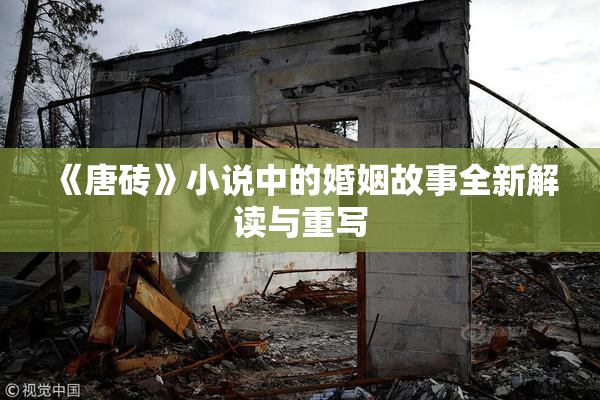 《唐砖》小说中的婚姻故事全新解读与重写