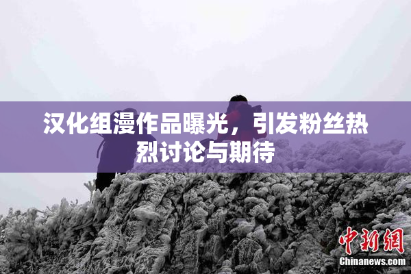 汉化组漫作品曝光，引发粉丝热烈讨论与期待