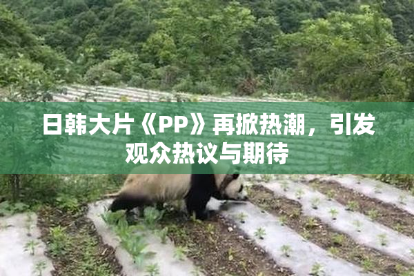 日韩大片《PP》再掀热潮，引发观众热议与期待