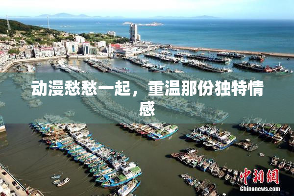 动漫愁愁一起，重温那份独特情感