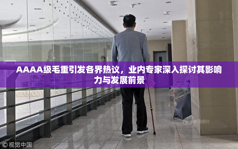 AAAA级毛重引发各界热议，业内专家深入探讨其影响力与发展前景