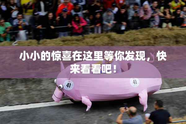 小小的惊喜在这里等你发现，快来看看吧！