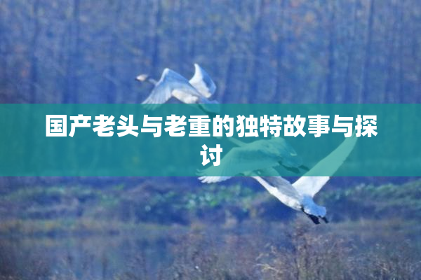 国产老头与老重的独特故事与探讨