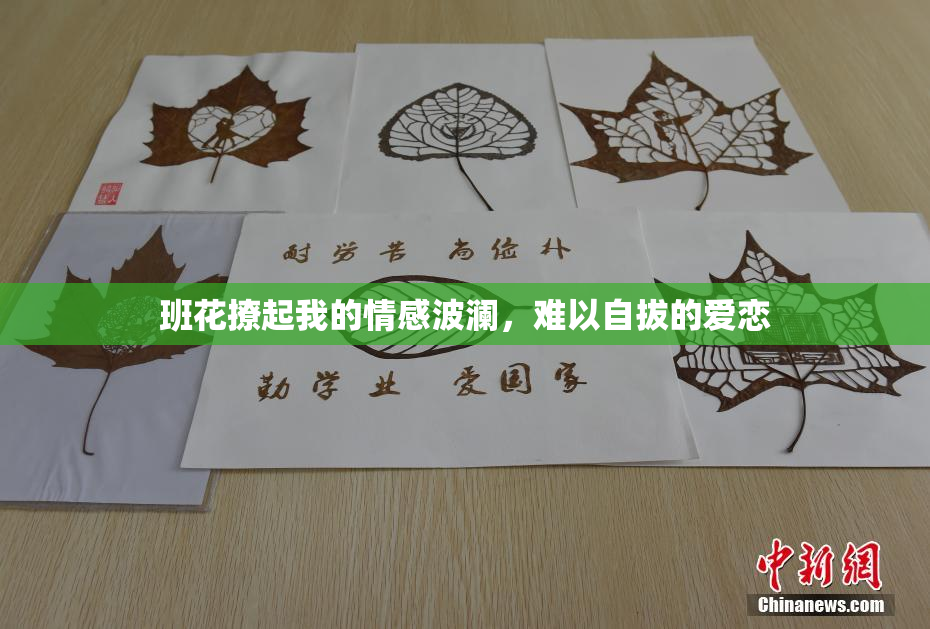 班花撩起我的情感波澜，难以自拔的爱恋