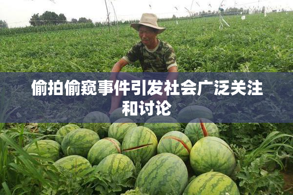 偷拍偷窥事件引发社会广泛关注和讨论