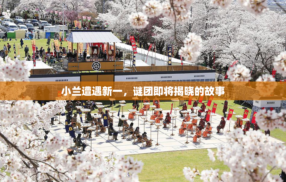 小兰遭遇新一，谜团即将揭晓的故事