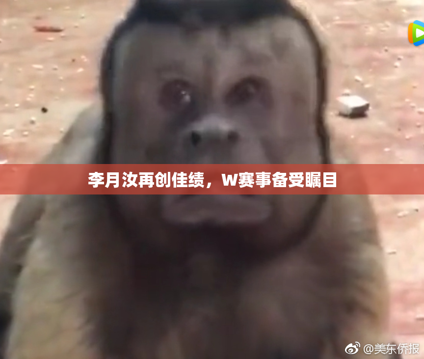 李月汝再创佳绩，W赛事备受瞩目