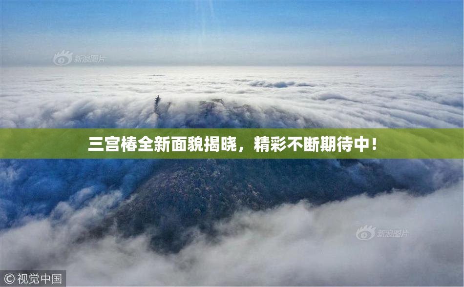 三宫椿全新面貌揭晓，精彩不断期待中！