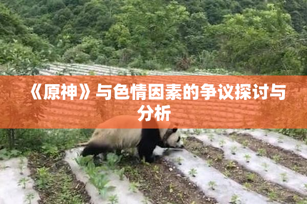 《原神》与色情因素的争议探讨与分析