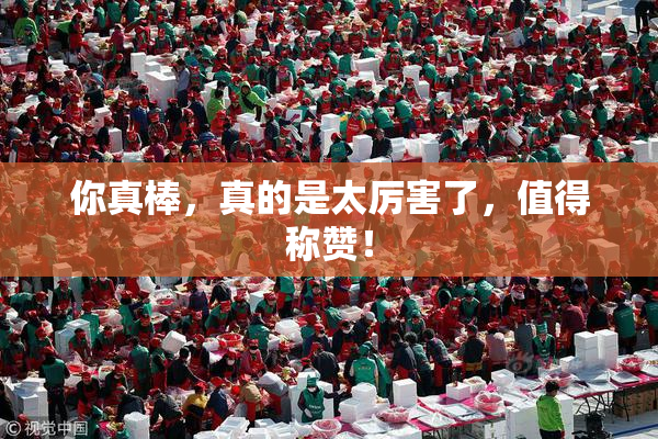 你真棒，真的是太厉害了，值得称赞！