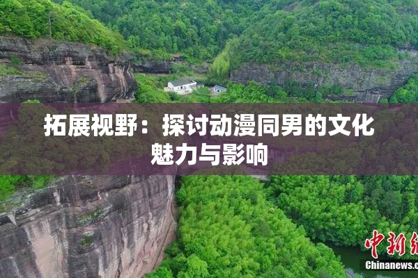 拓展视野：探讨动漫同男的文化魅力与影响