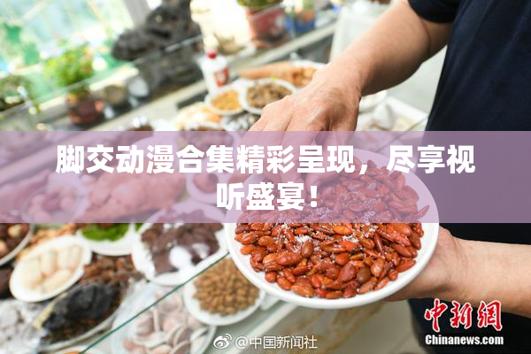 脚交动漫合集精彩呈现，尽享视听盛宴！