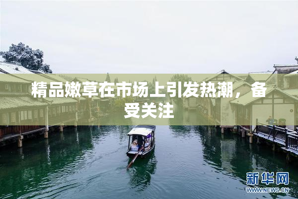 精品嫩草在市场上引发热潮，备受关注