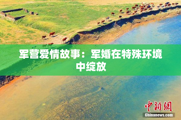 军营爱情故事：军婚在特殊环境中绽放