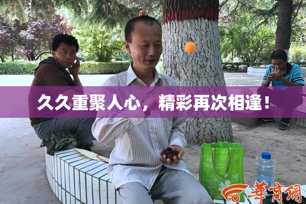 久久重聚人心，精彩再次相逢！