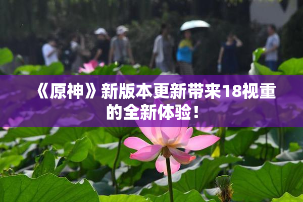 《原神》新版本更新带来18视重的全新体验！