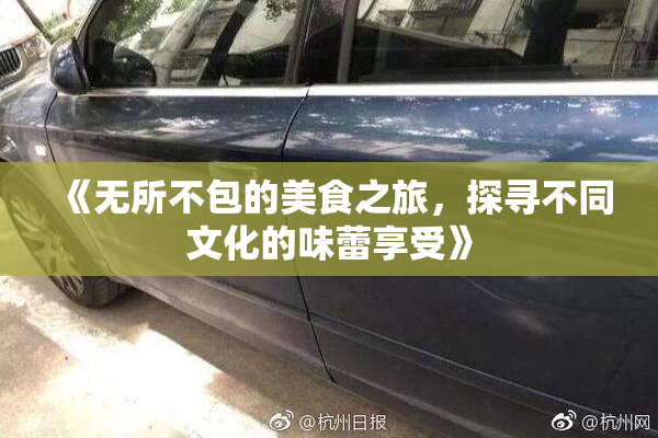 《无所不包的美食之旅，探寻不同文化的味蕾享受》