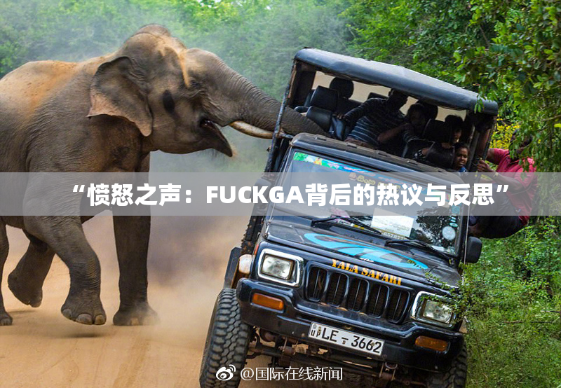 “愤怒之声：FUCKGA背后的热议与反思”