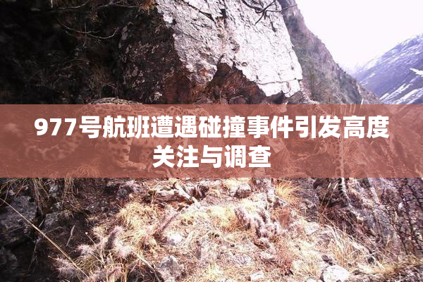 977号航班遭遇碰撞事件引发高度关注与调查