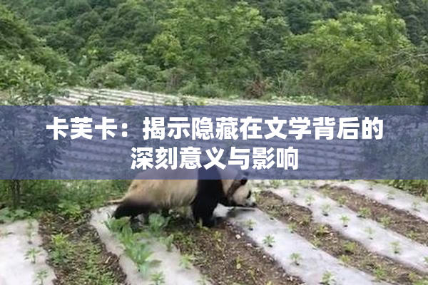 卡芙卡：揭示隐藏在文学背后的深刻意义与影响