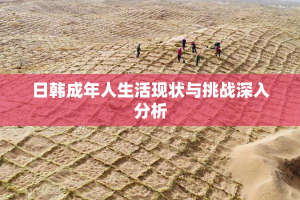 日韩成年人生活现状与挑战深入分析