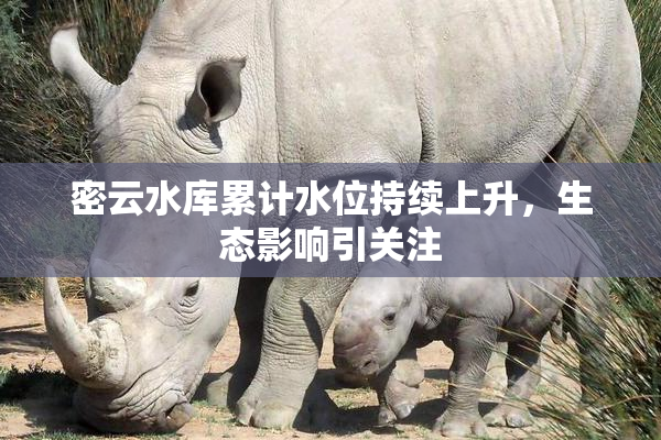 密云水库累计水位持续上升，生态影响引关注
