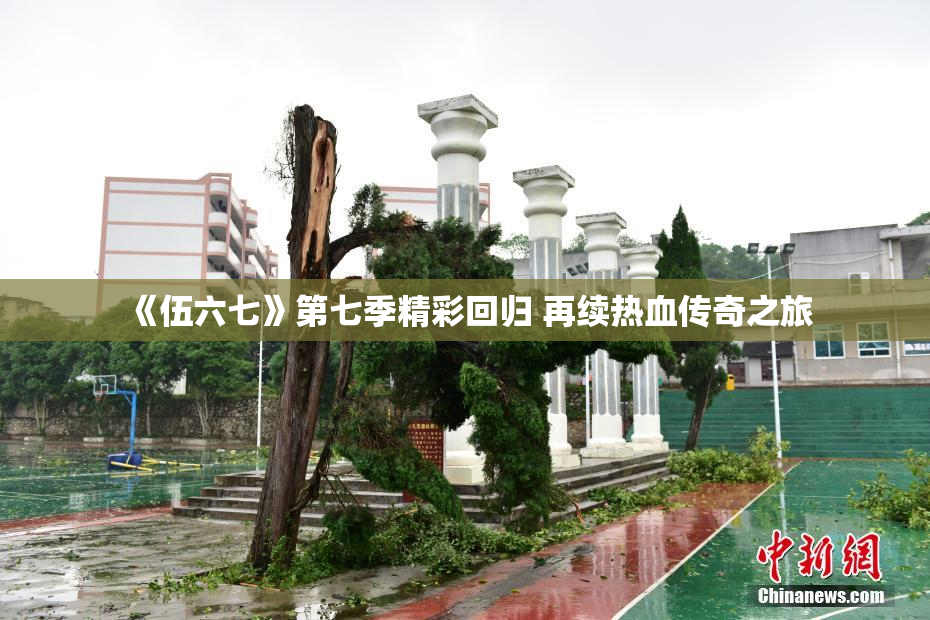 《伍六七》第七季精彩回归 再续热血传奇之旅