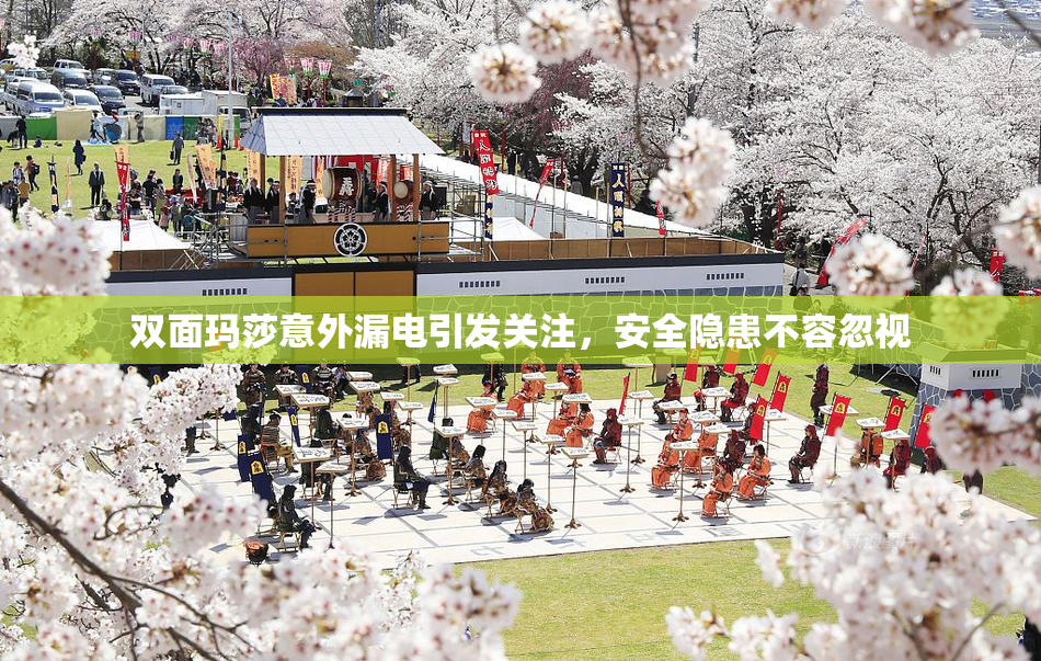 双面玛莎意外漏电引发关注，安全隐患不容忽视