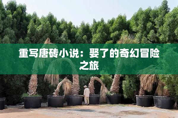重写唐砖小说：娶了的奇幻冒险之旅