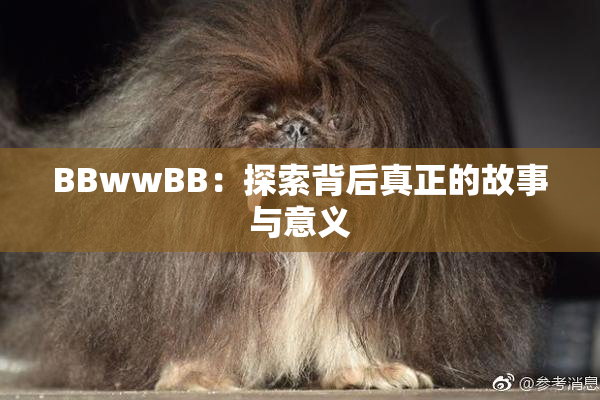 BBwwBB：探索背后真正的故事与意义