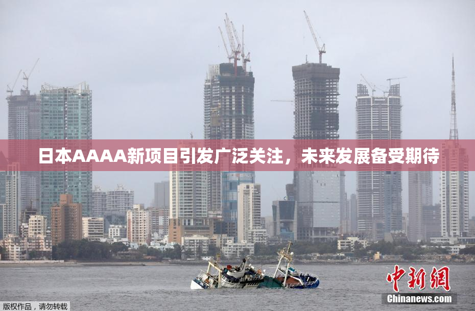 日本AAAA新项目引发广泛关注，未来发展备受期待