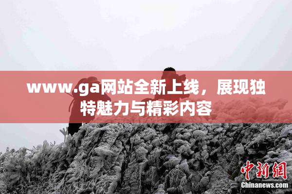 www.ga网站全新上线，展现独特魅力与精彩内容