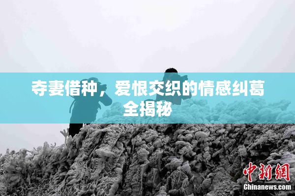 夺妻借种，爱恨交织的情感纠葛全揭秘