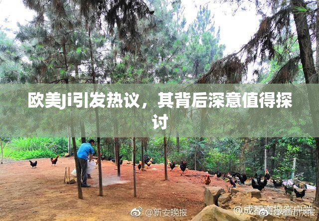 欧美Ji引发热议，其背后深意值得探讨