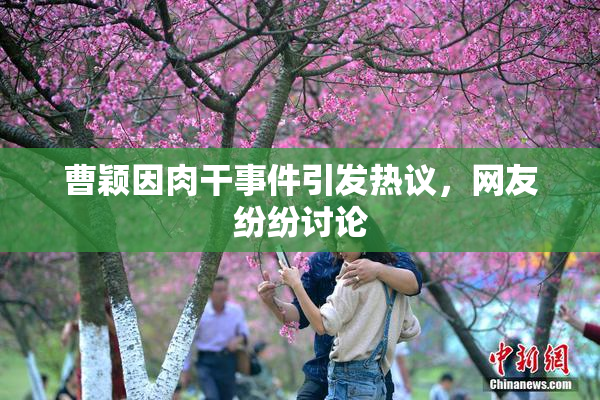 曹颖因肉干事件引发热议，网友纷纷讨论