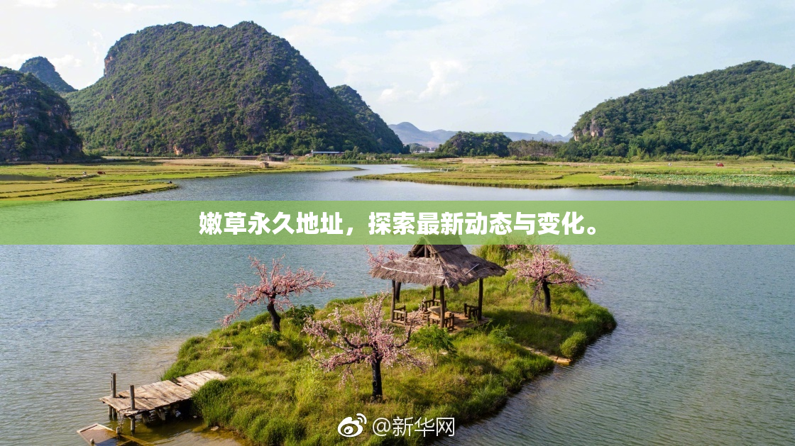 嫩草永久地址，探索最新动态与变化。