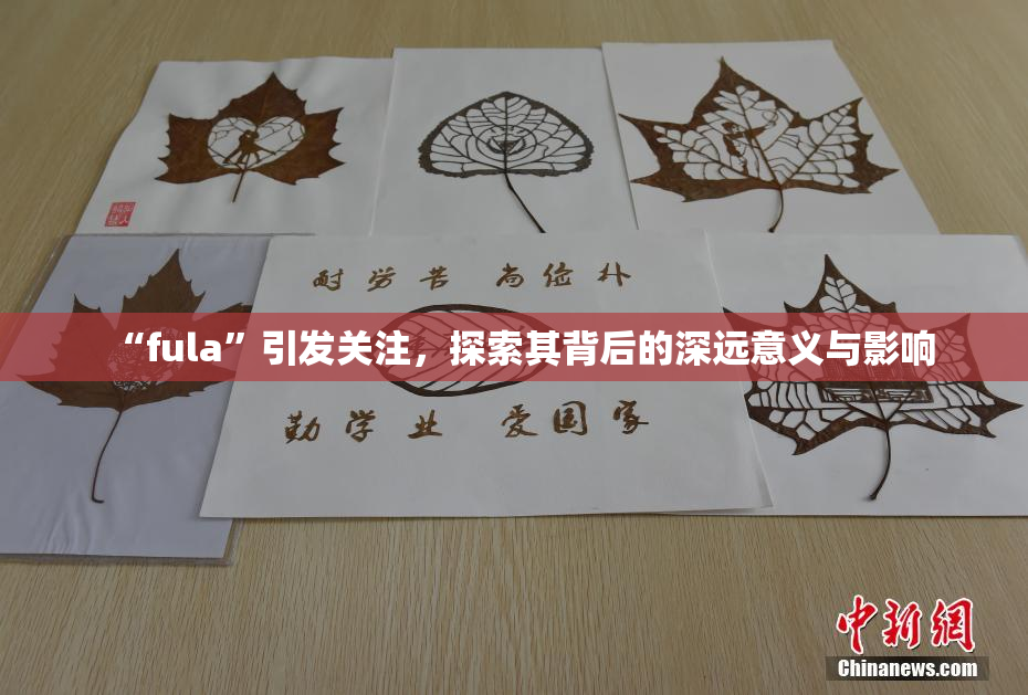 “fula”引发关注，探索其背后的深远意义与影响
