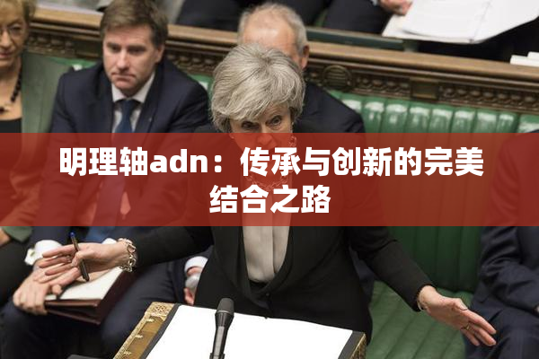 明理轴adn：传承与创新的完美结合之路
