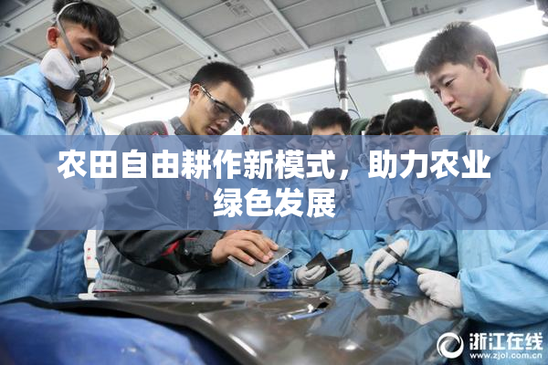 农田自由耕作新模式，助力农业绿色发展
